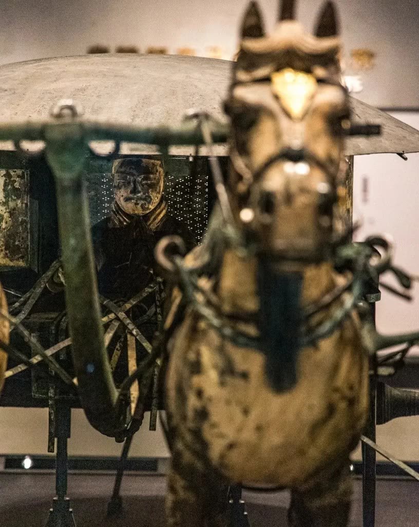 Charioteer close-up