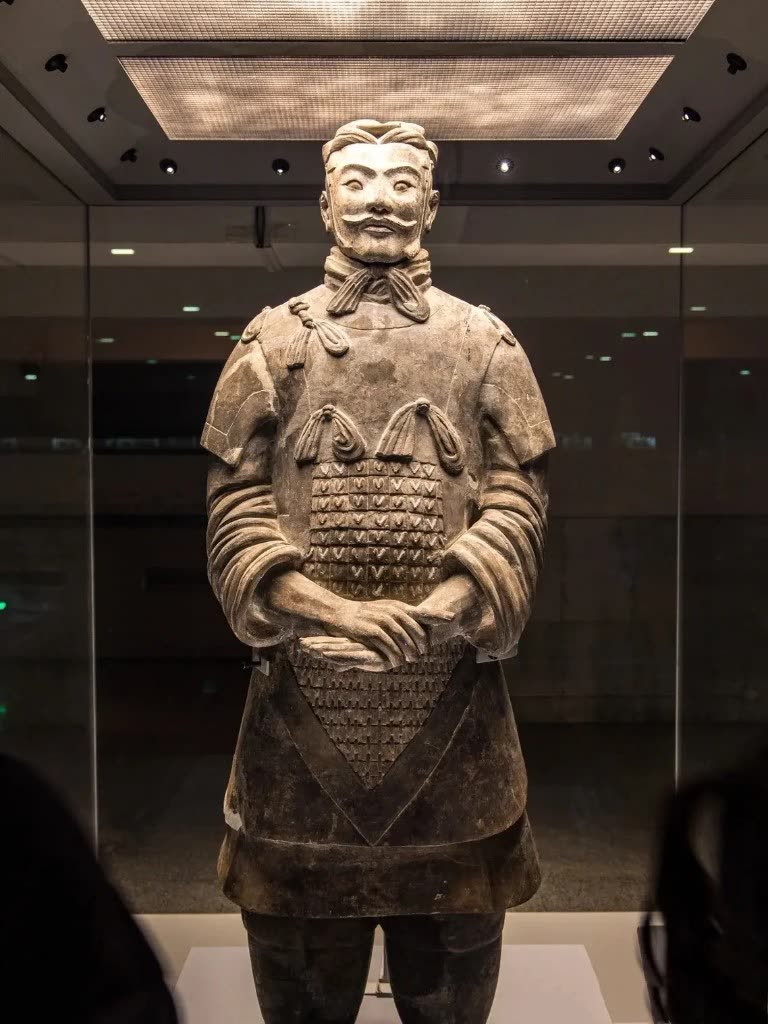 Qin general, glass case