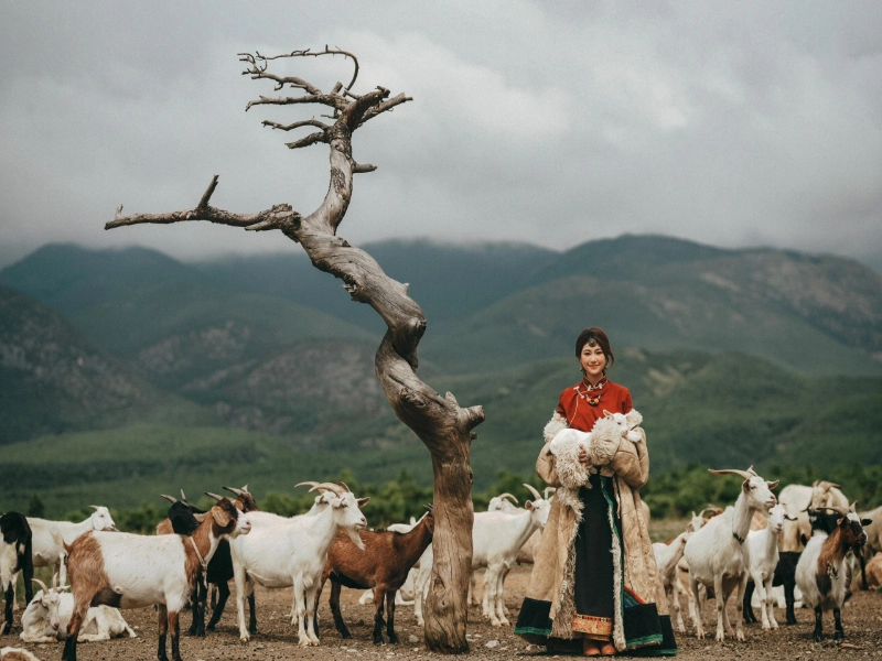 8-Day Gansu–Qinghai Loop In-Depth Tour
