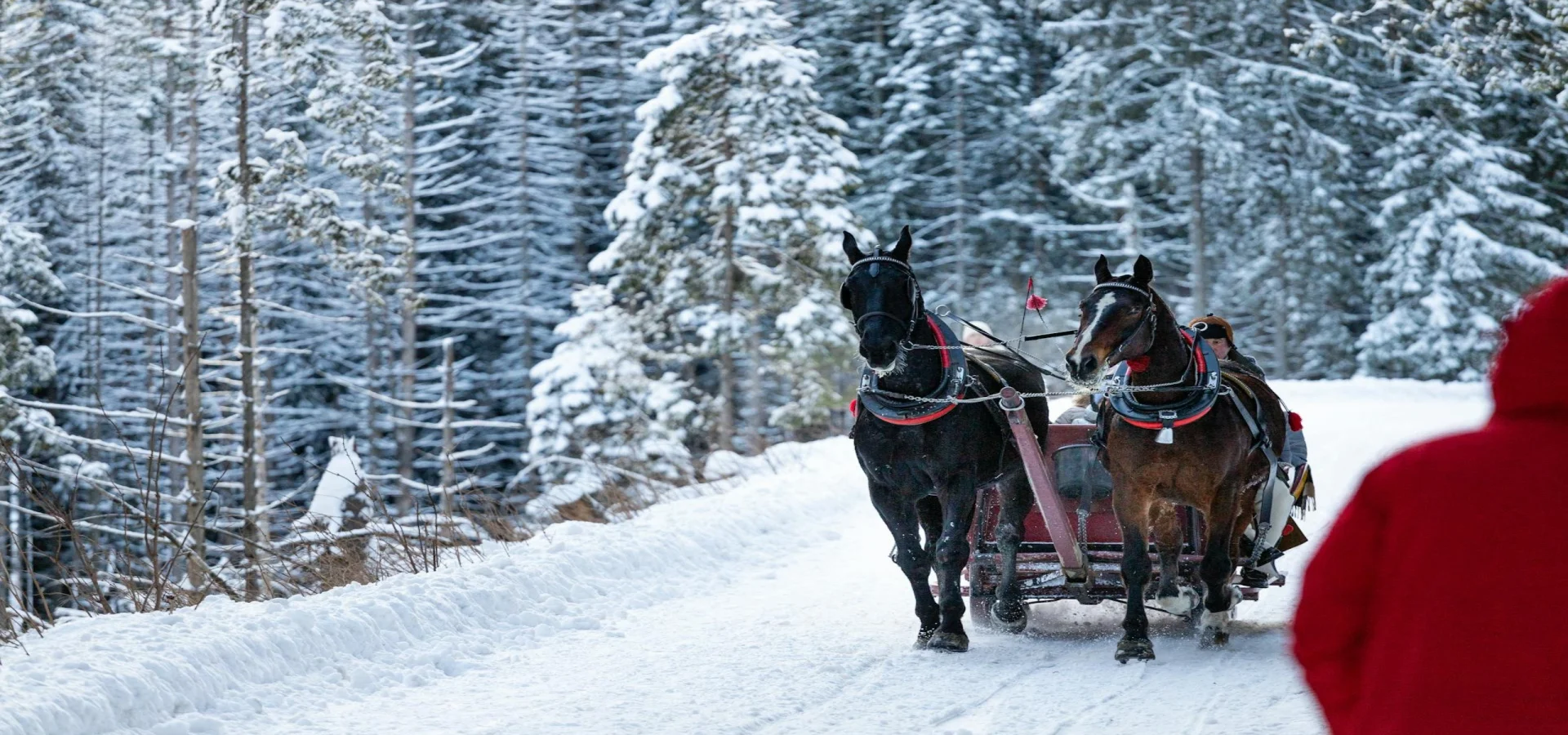 Harbin, Yabuli Ski & Snow Town 6 Days Winter Wonderland Tour