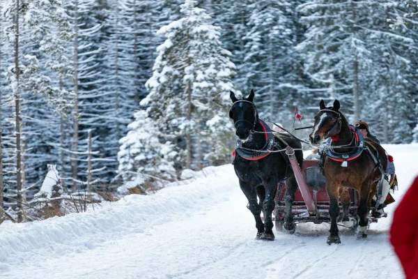Harbin, Yabuli Ski & Snow Town 6 Days Winter Wonderland Tour