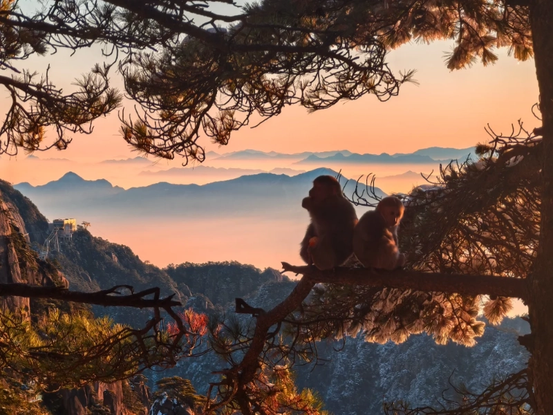 5-Day Huangshan Pure In-Depth Tour