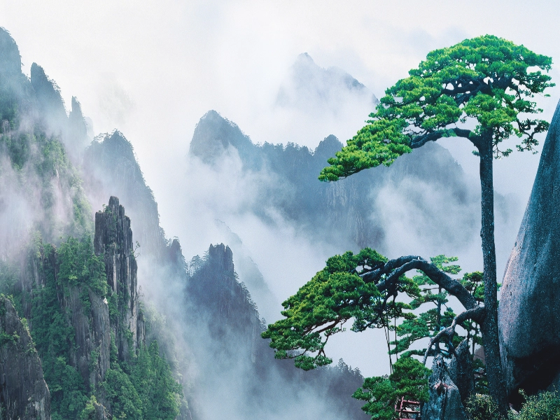 6-Day Hangzhou, Qiandao Lake & Huangshan Private Tour: Lakes & Mountains Paradise