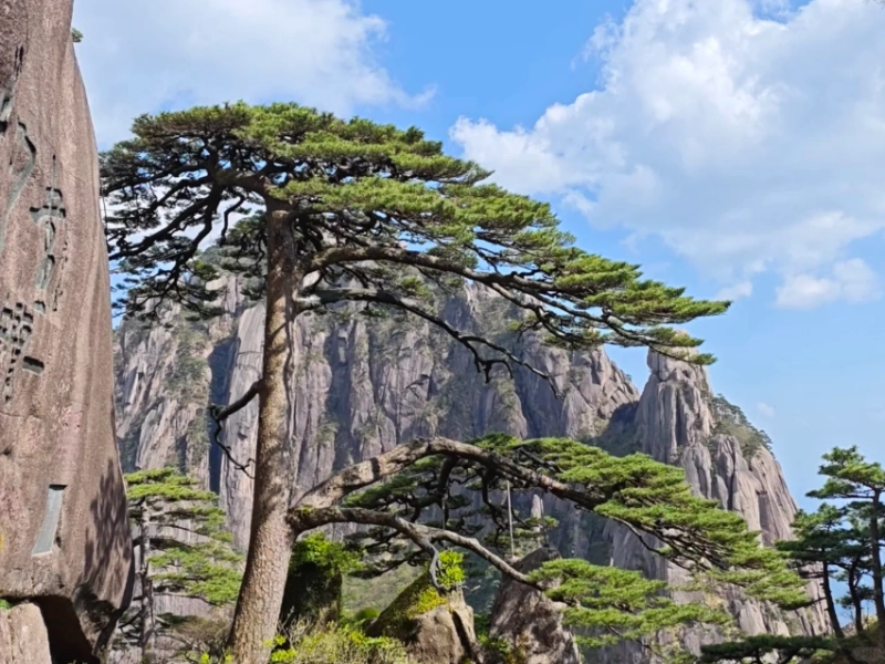 5-Day Huangshan Pure In-Depth Tour