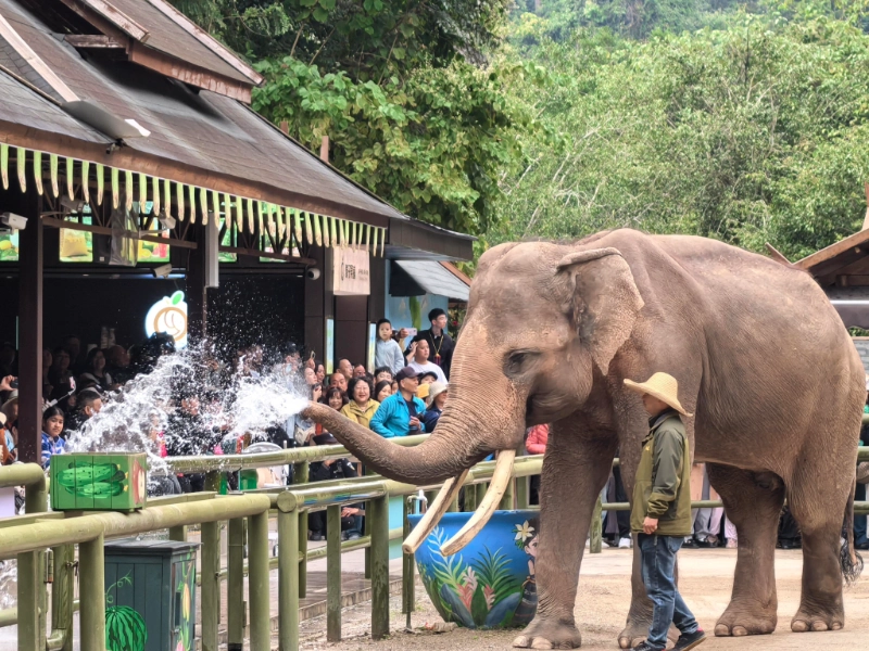 Mekong Riverside – Xishuangbanna 5-Day 4-Night Pure Leisure Tour