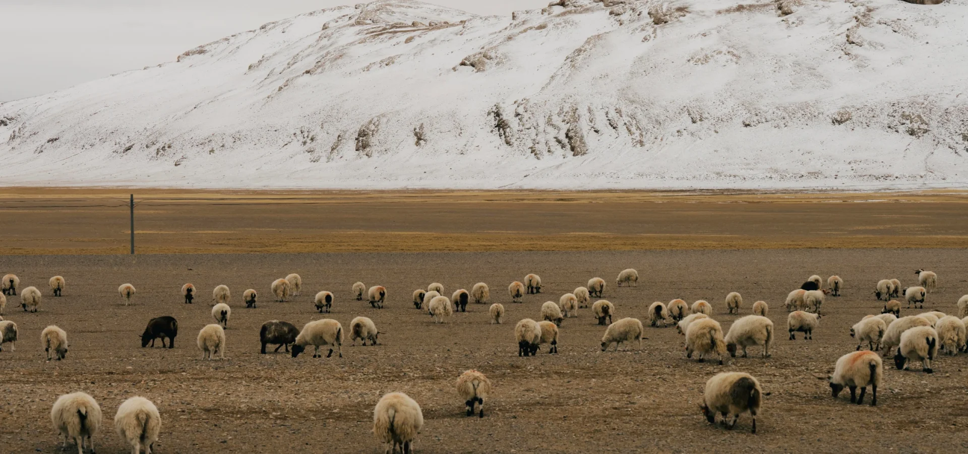 12-Day Tibet Ali Northern Loop