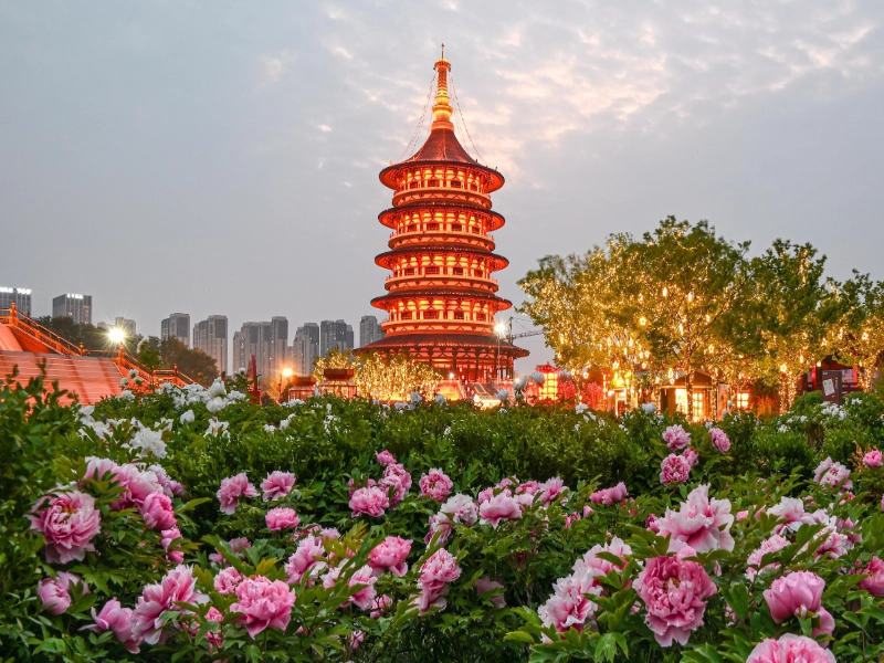 Henan Intangible Cultural Heritage 5-Day Tour