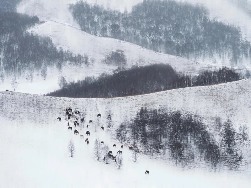 Beijing Winter Wonderland Family Tour – 5 Days