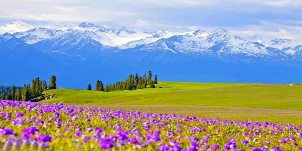 Xinjiang travel