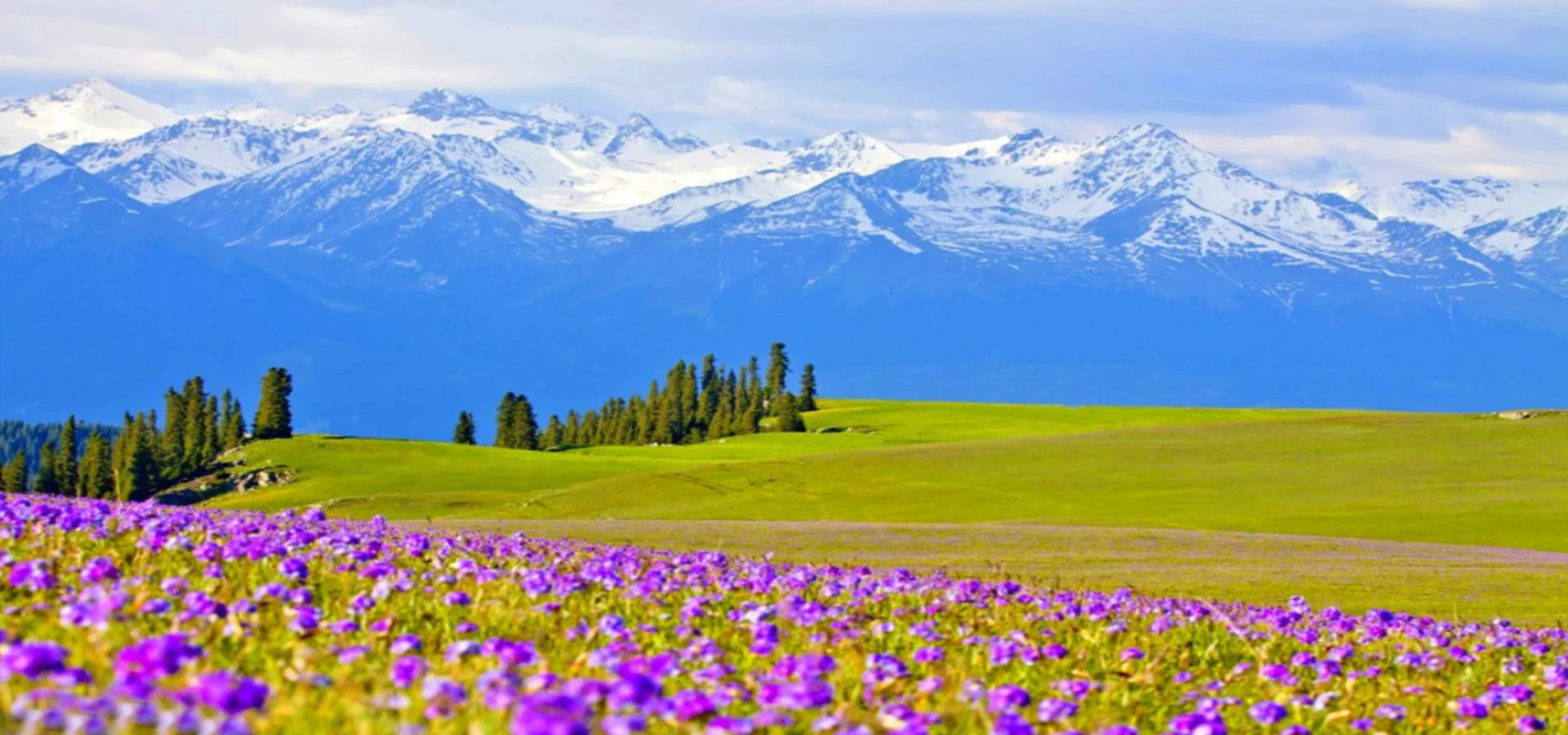 Ili Snow Mountain & Alpine Grassland Nature Immersion 6-Day In-Depth Tour