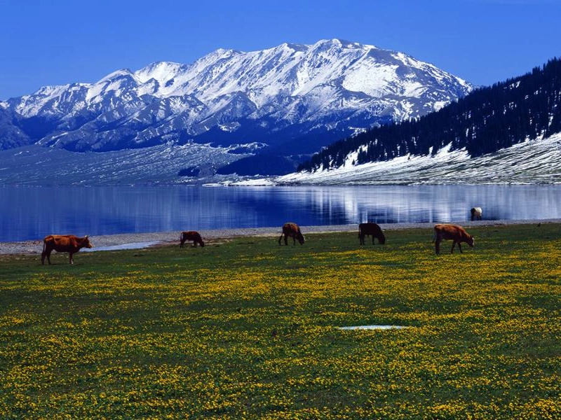 8-Day Southern Xinjiang Culture & Pamir Plateau Light Trekking Tour