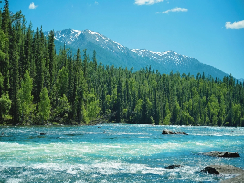 11-Day Grand Northern Xinjiang Light Trekking Tour: Altay & Yili Highlights
