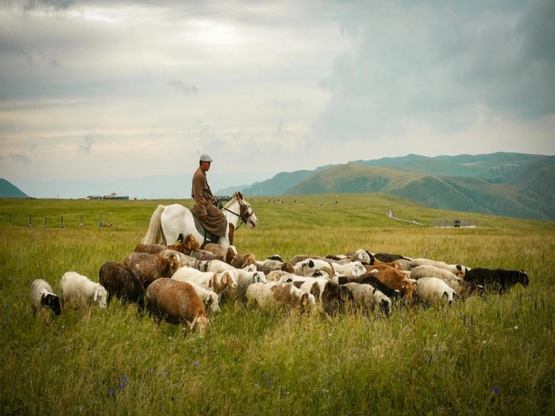 6-Day Gannan Secret Hiking & Cultural Immersion Tour