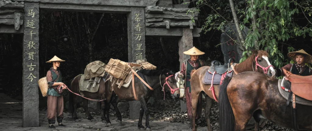 6-Day Classic Yunnan Trekking Tour: Tiger Leaping Gorge & Ancient Tea Horse Road