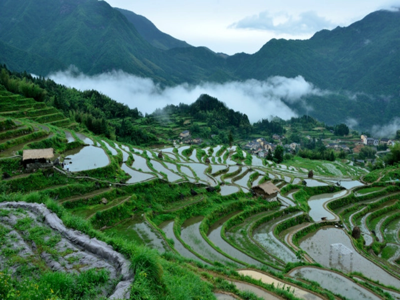 Search for Hidden Songyang: 3-Day Ancient Trail Hiking Tour