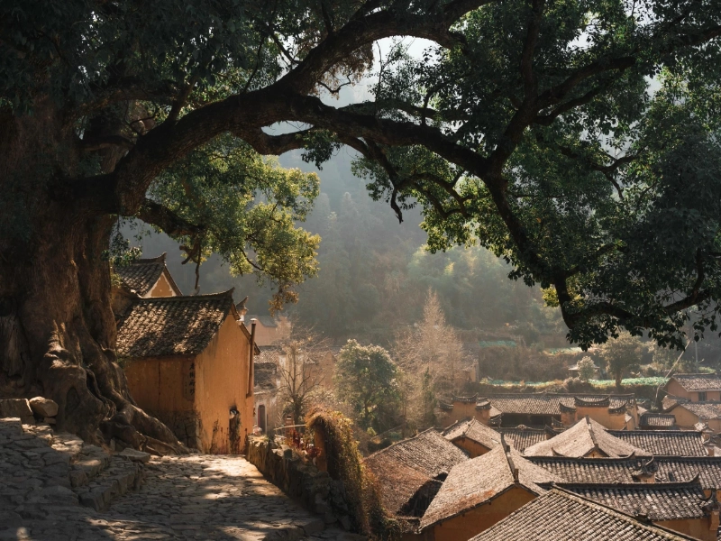 Hikers exploring Yangjiatang during the 3-day Songyang village trek