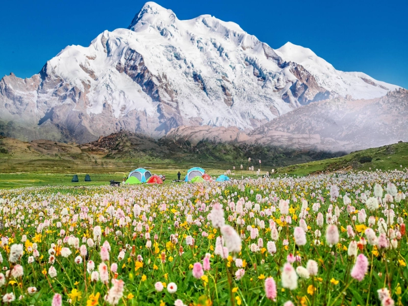 Hidden Shangri-La: 7-Day Mount Genie & Southern Route Light Hiking Tour