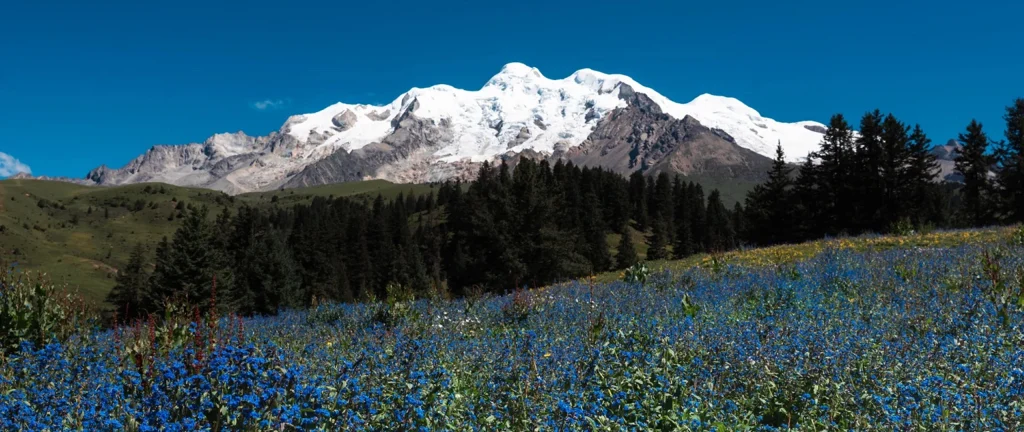 Hidden Shangri-La: 7-Day Mount Genie & Southern Route Light Hiking Tour