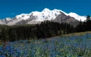 Hidden Shangri-La: 7-Day Mount Genie & Southern Route Light Hiking Tour
