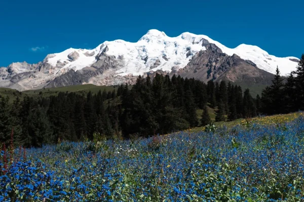 Hidden Shangri-La: 7-Day Mount Genie & Southern Route Light Hiking Tour