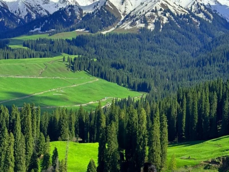 11-Day Grand Northern Xinjiang Light Trekking Tour: Altay & Yili Highlights