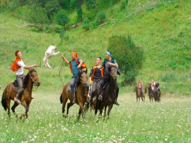 11-Day Grand Northern Xinjiang Light Trekking Tour: Altay & Yili Highlights