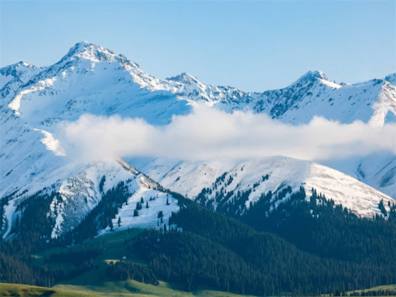 11-Day Grand Northern Xinjiang Light Trekking Tour: Altay & Yili Highlights