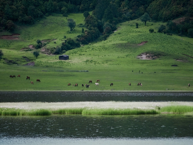 2026 Yunnan Panorama 8 Days Tour: Kunming, Dali, Lijiang, Shangri-La & Lugu Lake
