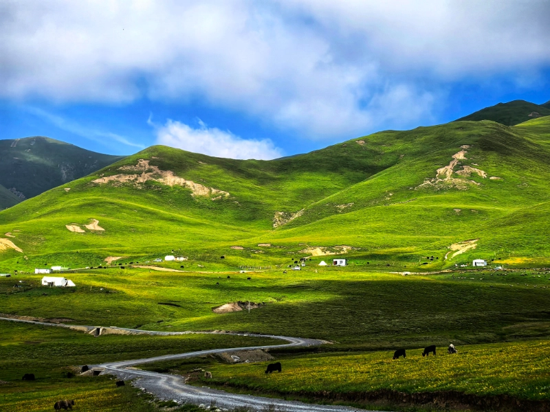 6-Day Gannan Secret Hiking & Cultural Immersion Tour