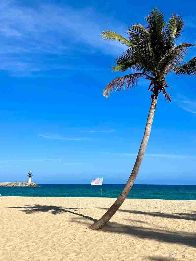 Palm tree on a Hainan beach in Sanya with turquoise water and a distant lighthouse